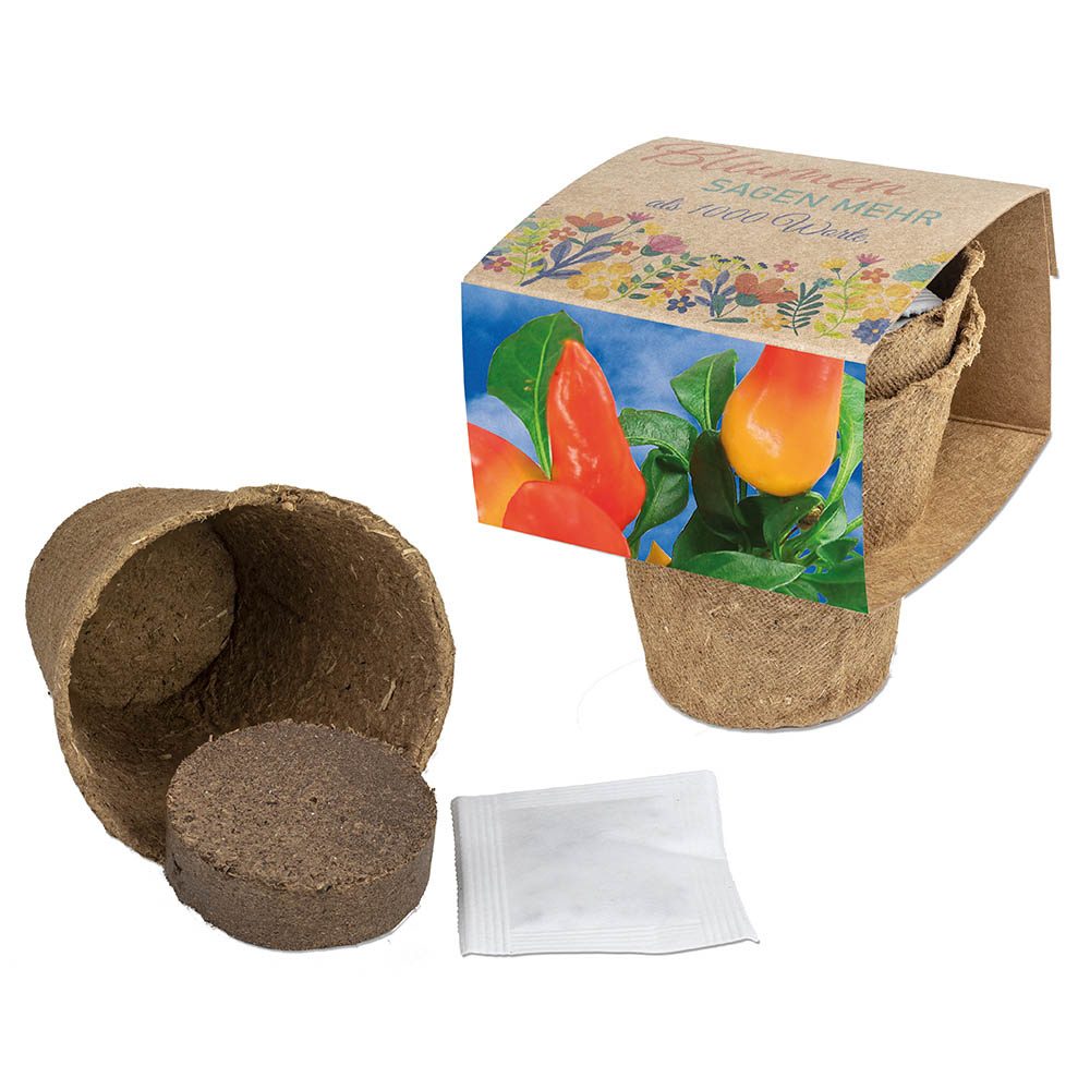 Anzucht-Set mit Samen, Gewürzpaprika