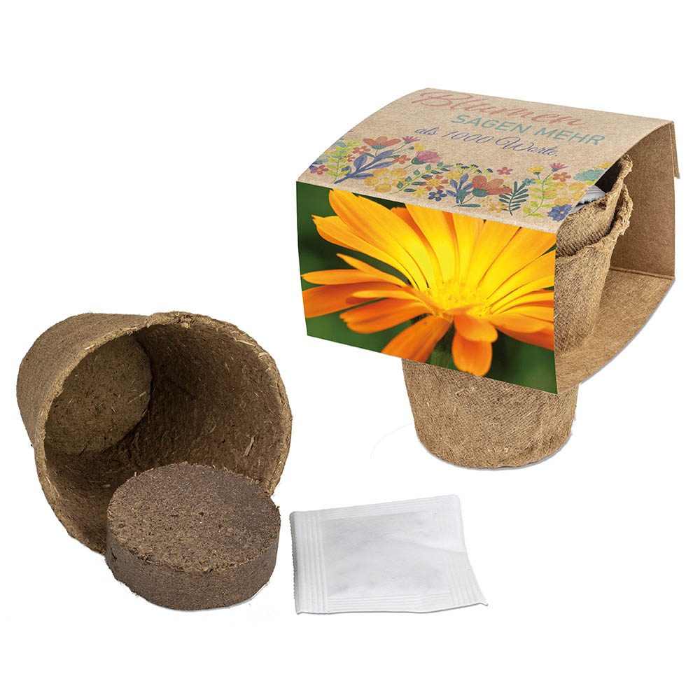 Anzucht-Set mit Samen, Ringelblume