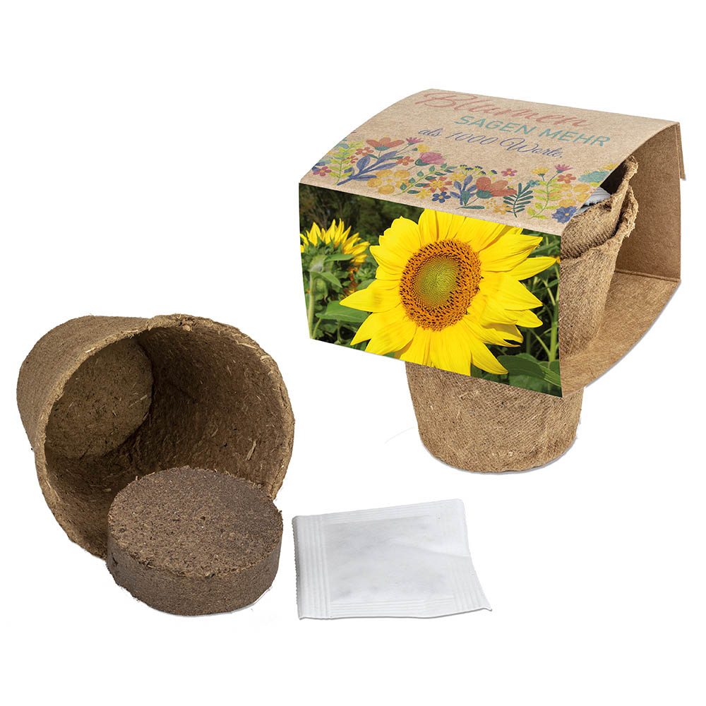 Anzucht-Set mit Samen, Sonnenblume
