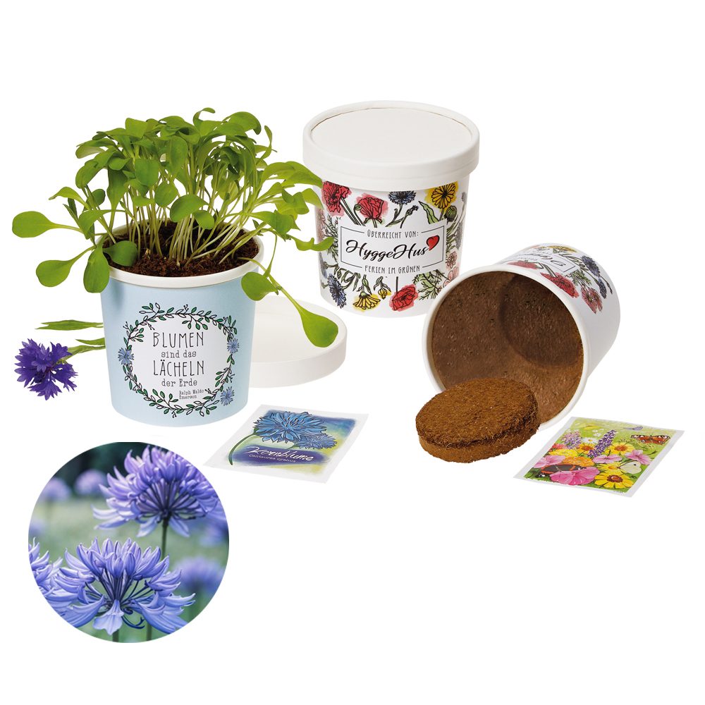 Becher Blümchen - Samenset, Kornblume