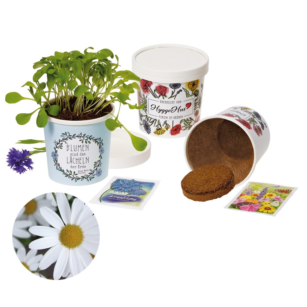 Becher Blümchen - Samenset, Margerite