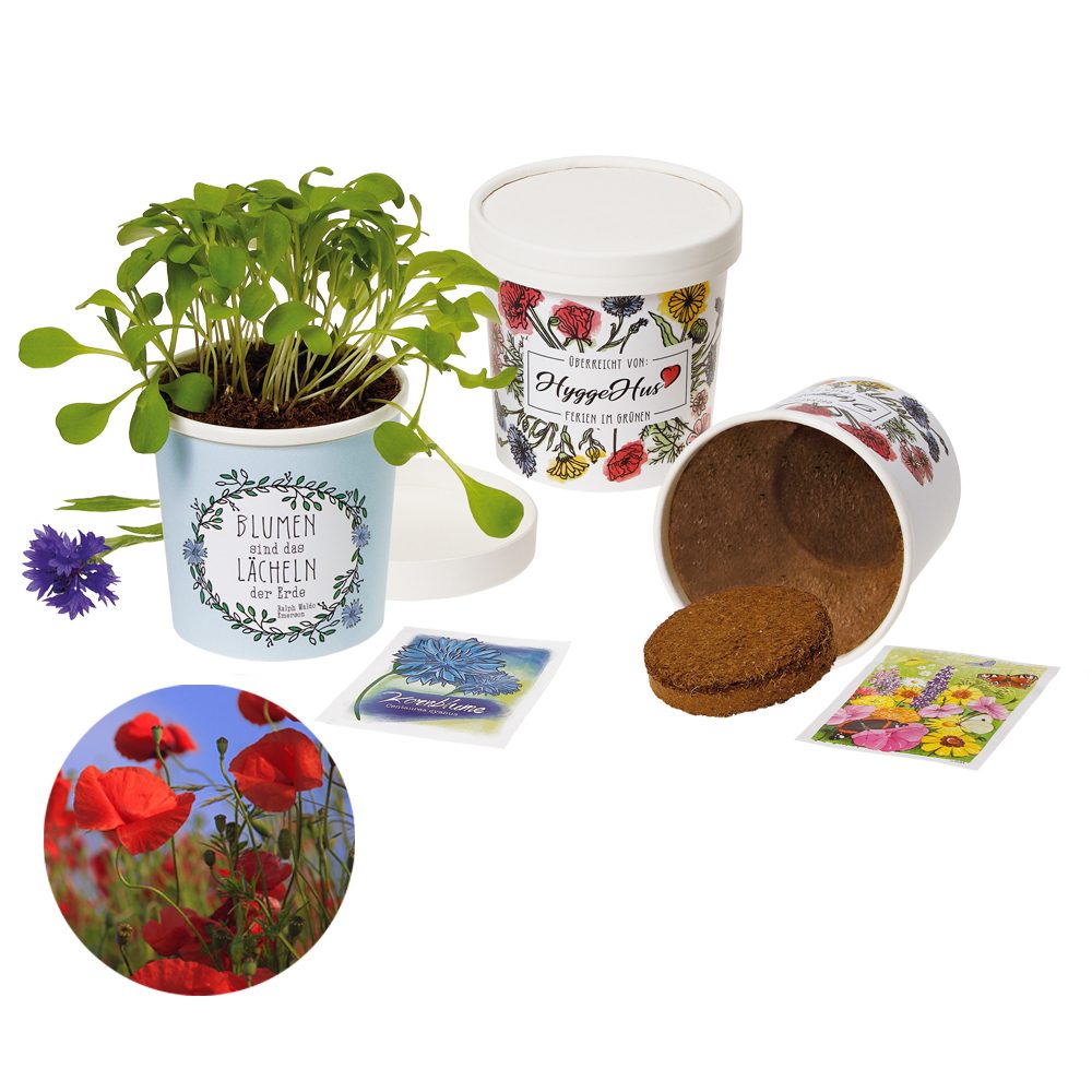 Becher Blümchen - Samenset, Mohn