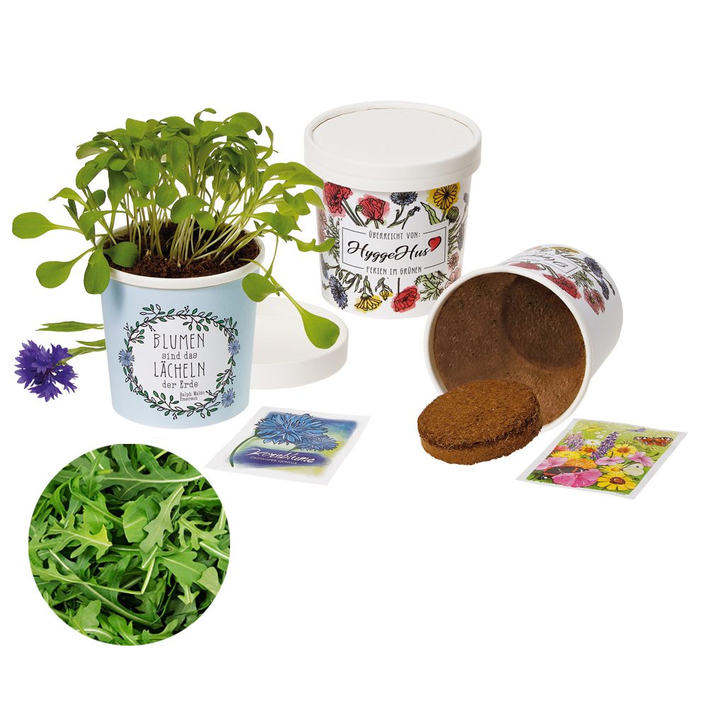 Becher Blümchen - Samenset, Rucola