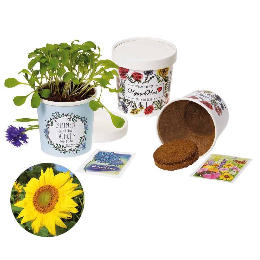 Becher Blümchen - Samenset, Sonnenblume