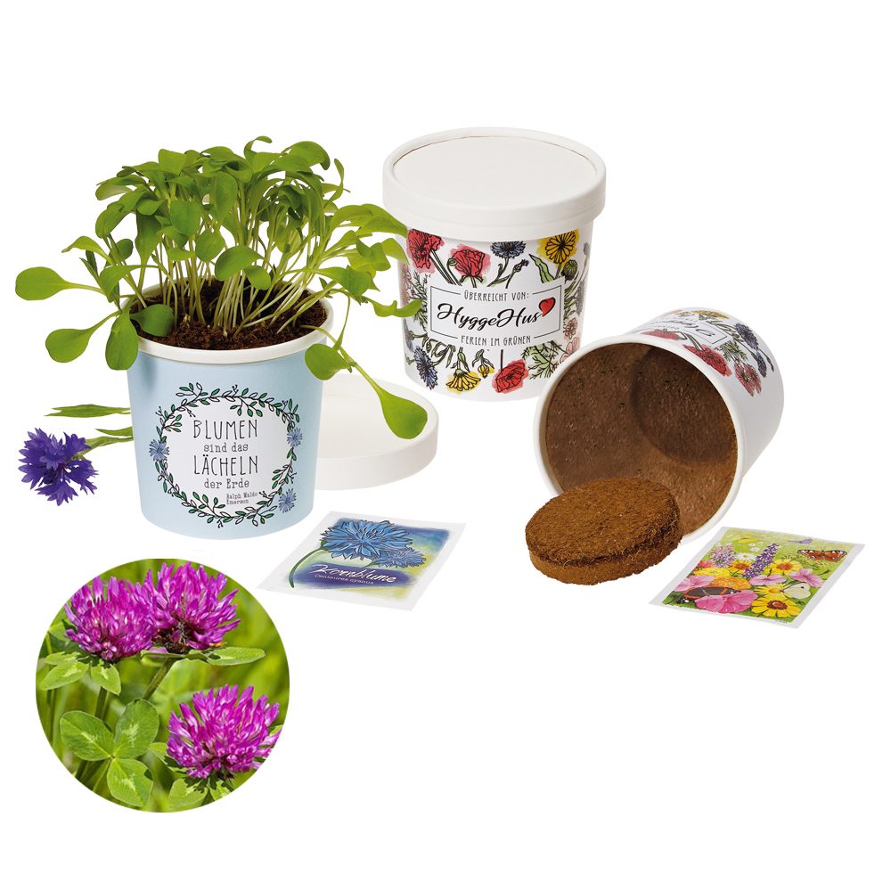 Becher Blümchen - Samenset, Wiesenklee