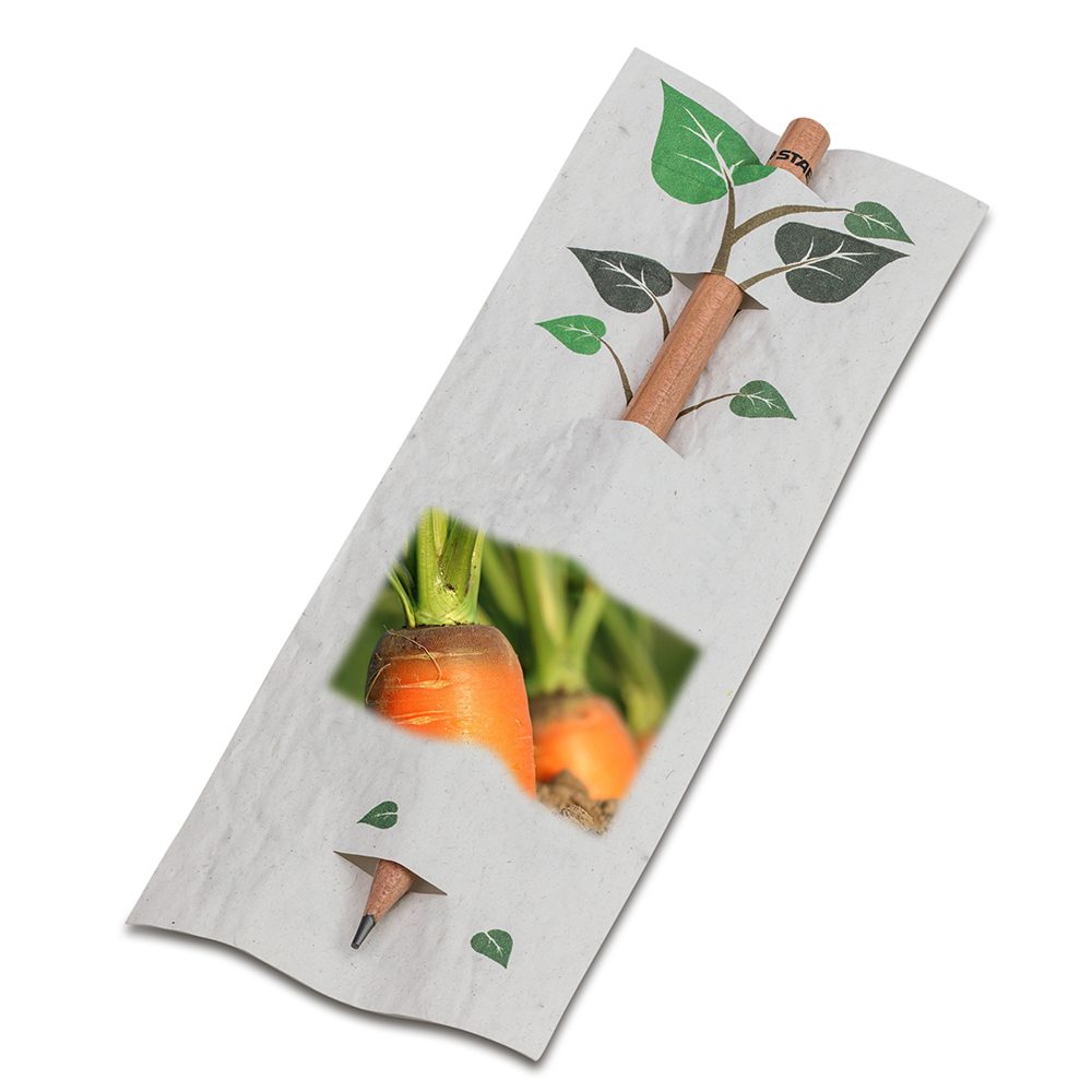 Bleistift im Samenpapieretui, Karotte, Druck 4/0-c