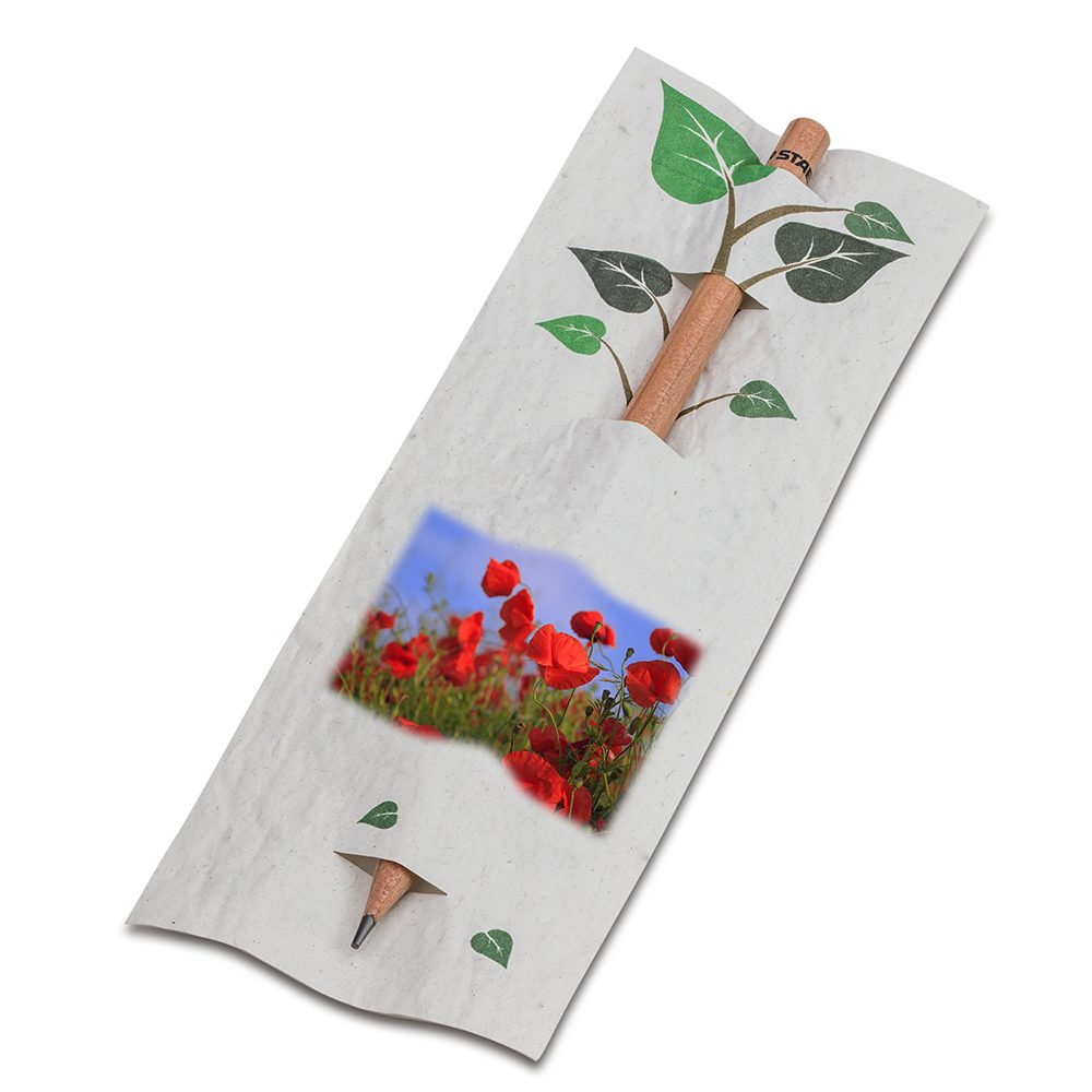 Bleistift im Samenpapieretui, Mohnblume, Druck 4/0-c