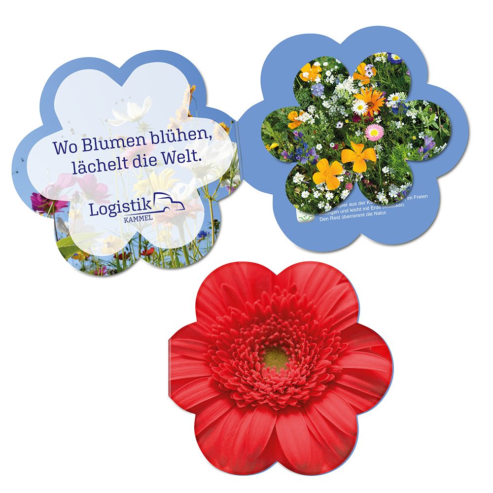 Samenpapier in Klappkärtchen Blume, Blümchen