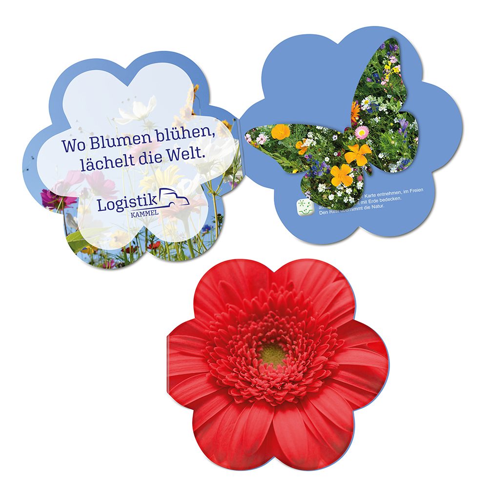 Samenpapier in Klappkärtchen Blume, Schmetterling