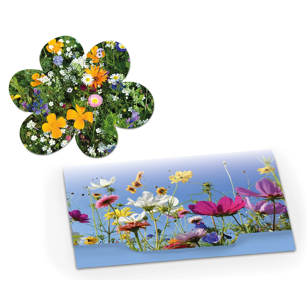 Samenpapier - Standardmotiv, Blümchen