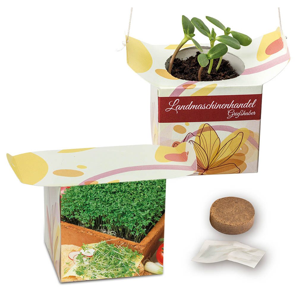 Blumenampel, Gartenkresse