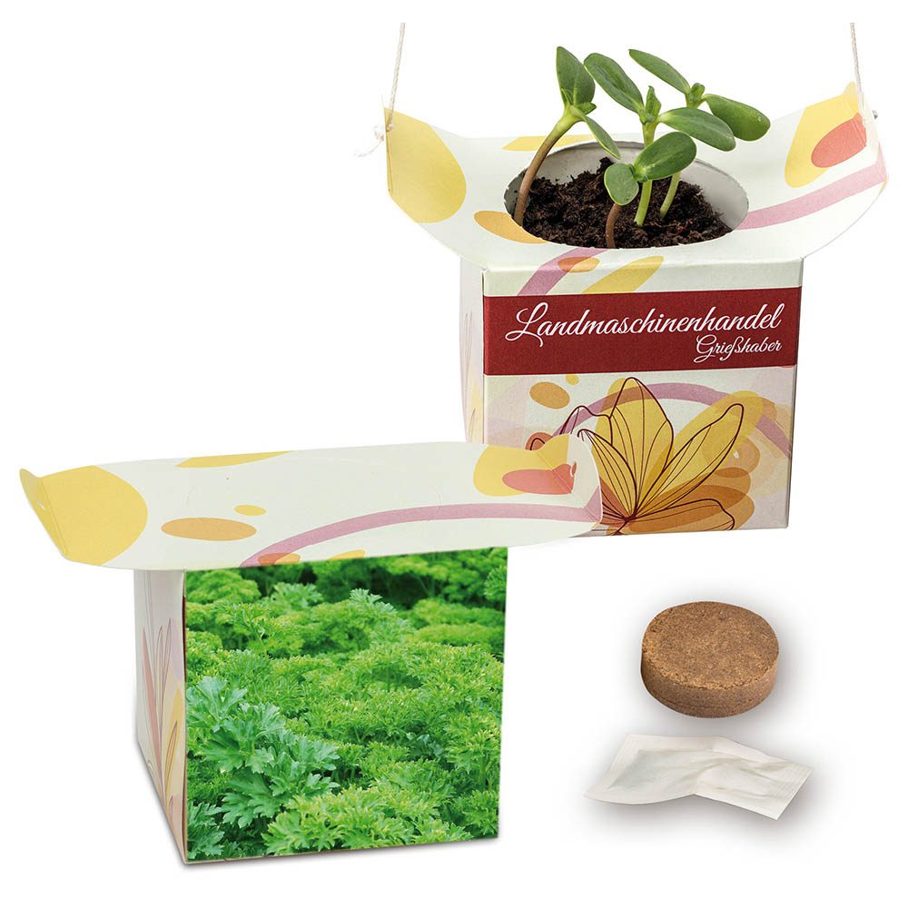 Blumenampel, Petersilie