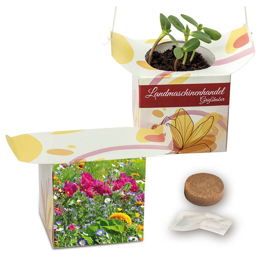 Blumenampel, Sommerblumenmischung