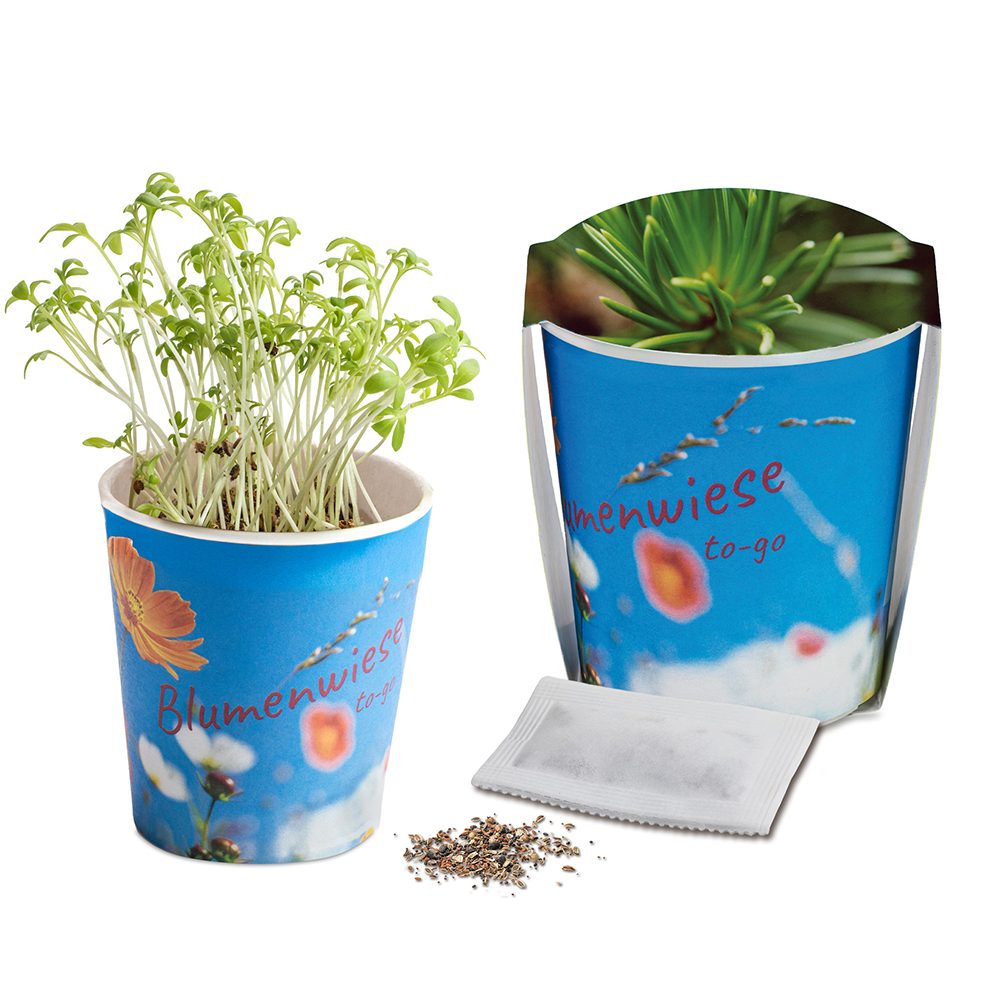 Blumenwiese To-Go, Fichte - Druck individuell 4/0-c (ab 2.500 Stk.)