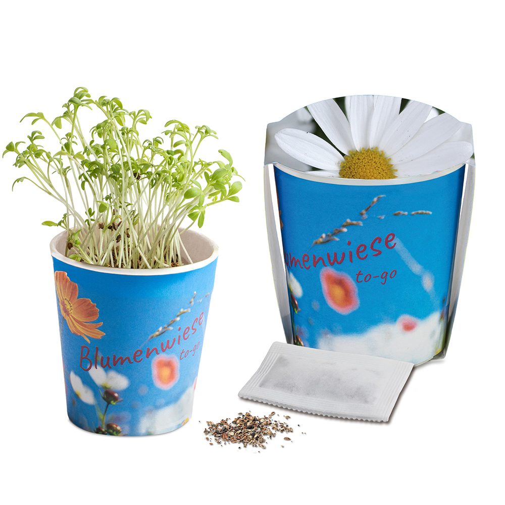 Blumenwiese To-Go, Margerite - Druck individuell 4/0-c (ab 2.500 Stk.)