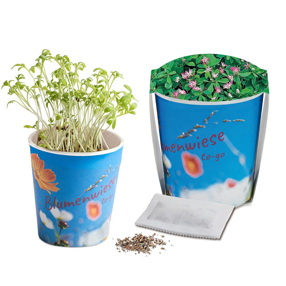 Blumenwiese To-Go, Persischer Klee - Druck individuell 4/0-c (ab 2.500 Stk.)