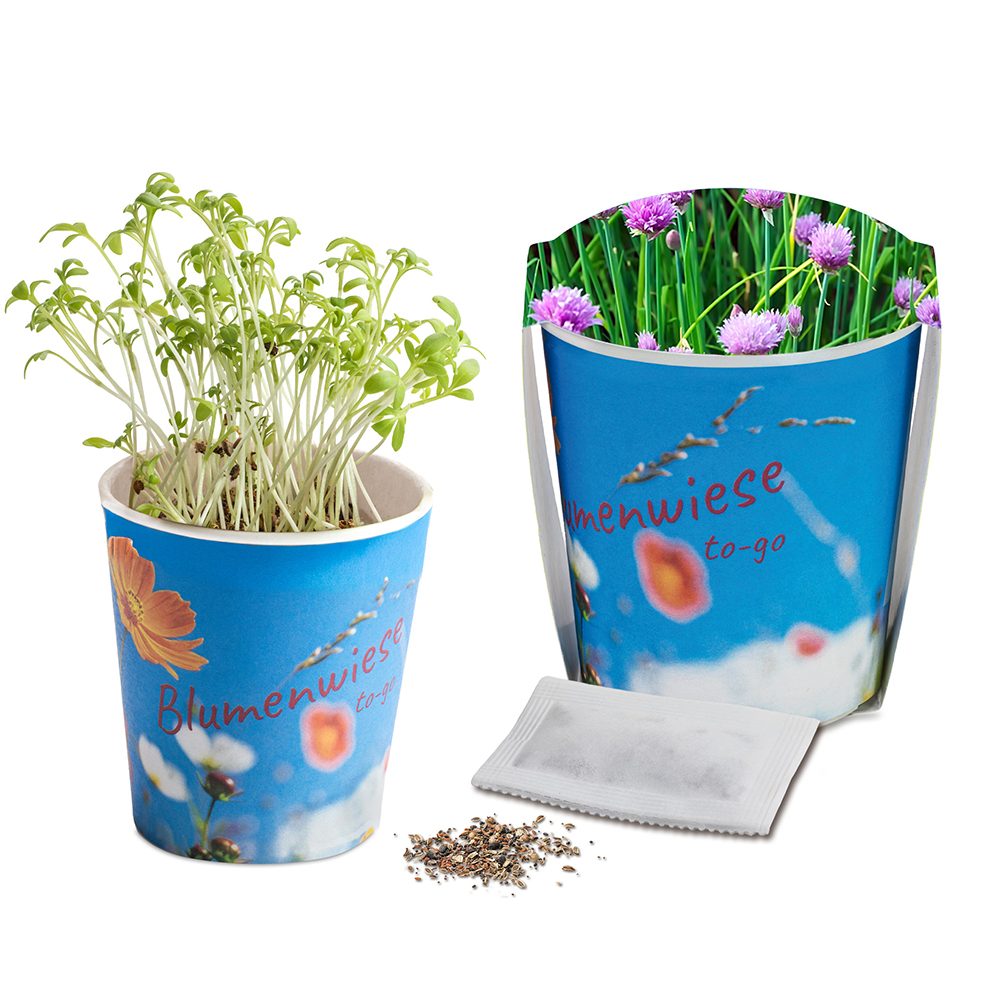 Blumenwiese To-Go, Schnittlauch - Druck individuell 4/0-c (ab 2.500 Stk.)