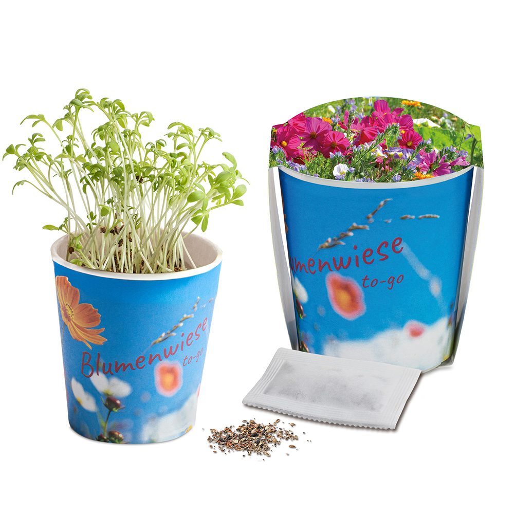 Blumenwiese To-Go, Sommerblumenmischung - Druck individuell 4/0-c (ab 2.500 Stk.)