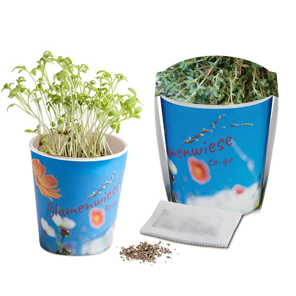 Blumenwiese To-Go, Thymian - Druck individuell 4/0-c (ab 2.500 Stk.)