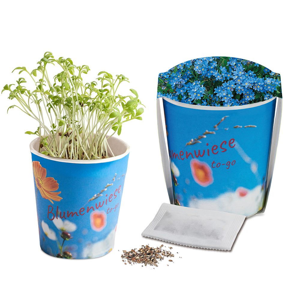 Blumenwiese To-Go, Vergissmeinnicht - Druck individuell 4/0-c (ab 2.500 Stk.)