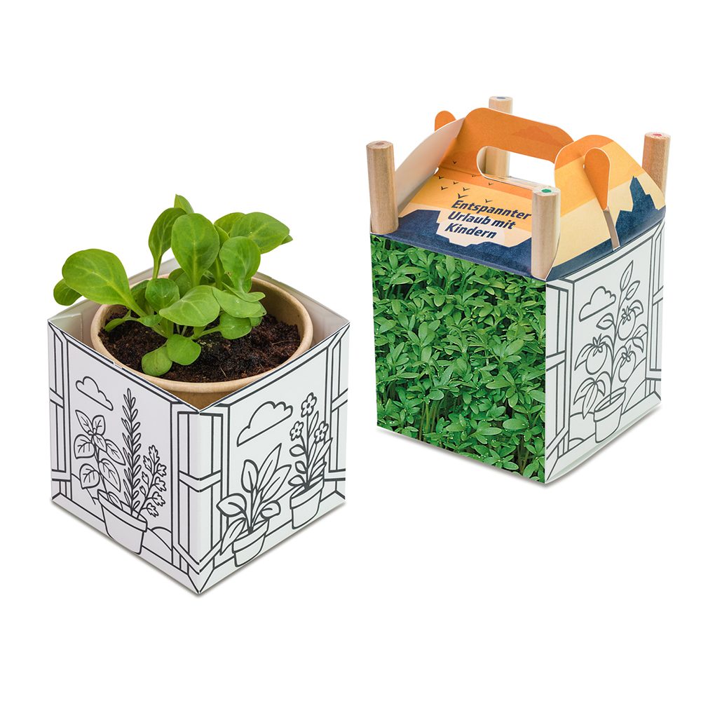 Colour & Grow House, Gartenkresse