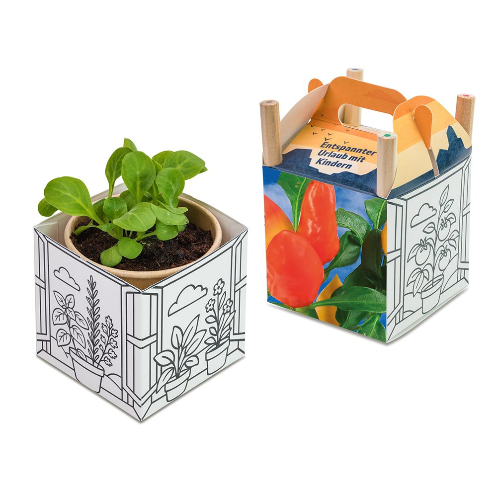 Colour & Grow House, Gewürzpaprika