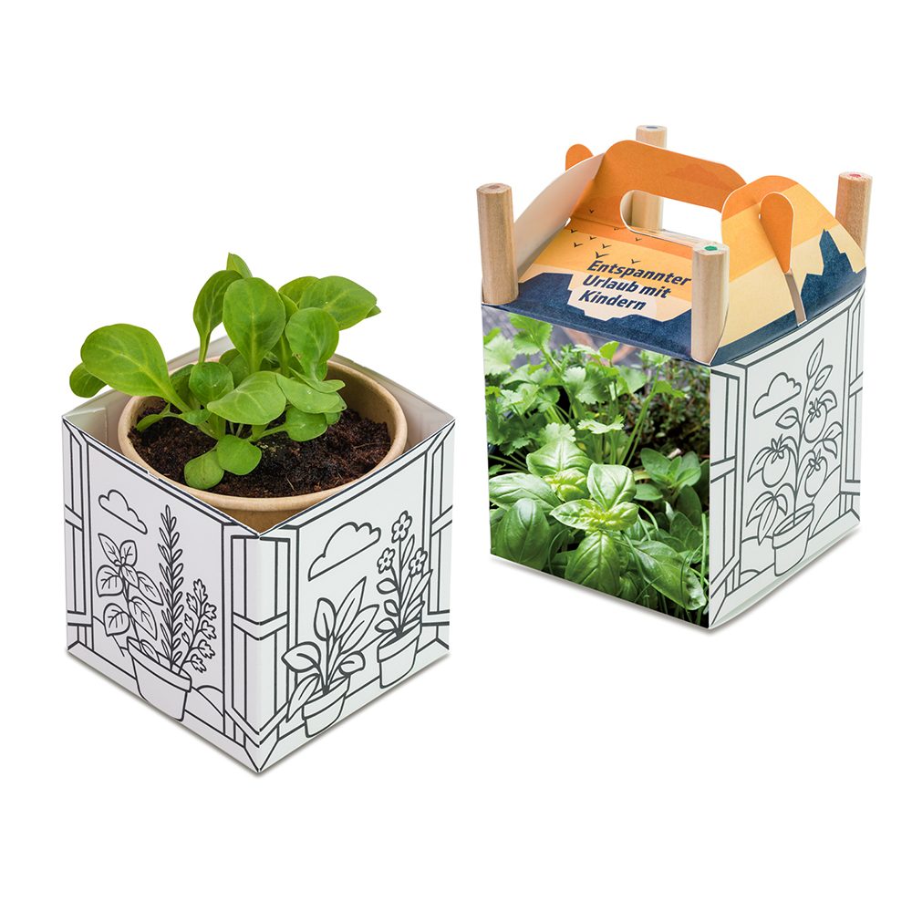 Colour & Grow House, Kräutermischung