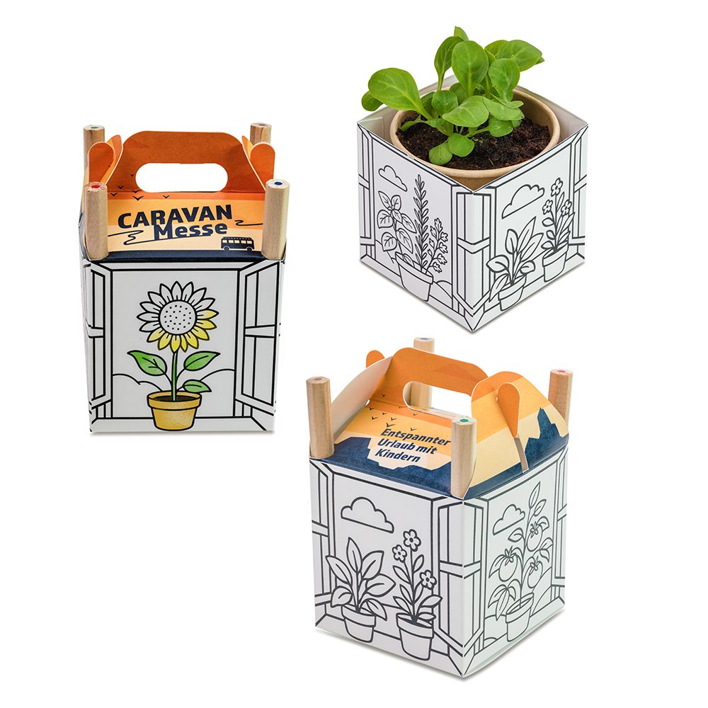Colour & Grow House, emotion factory