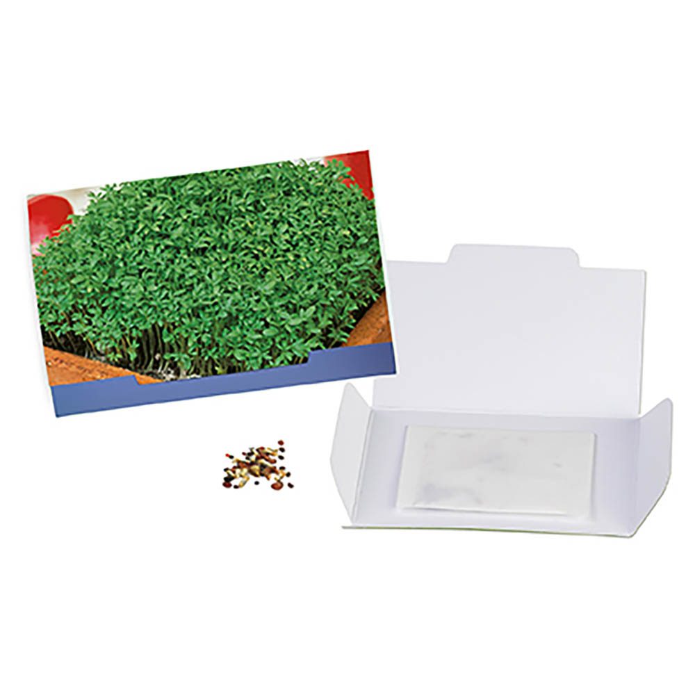 Flower-Card mit Samen, Gartenkresse