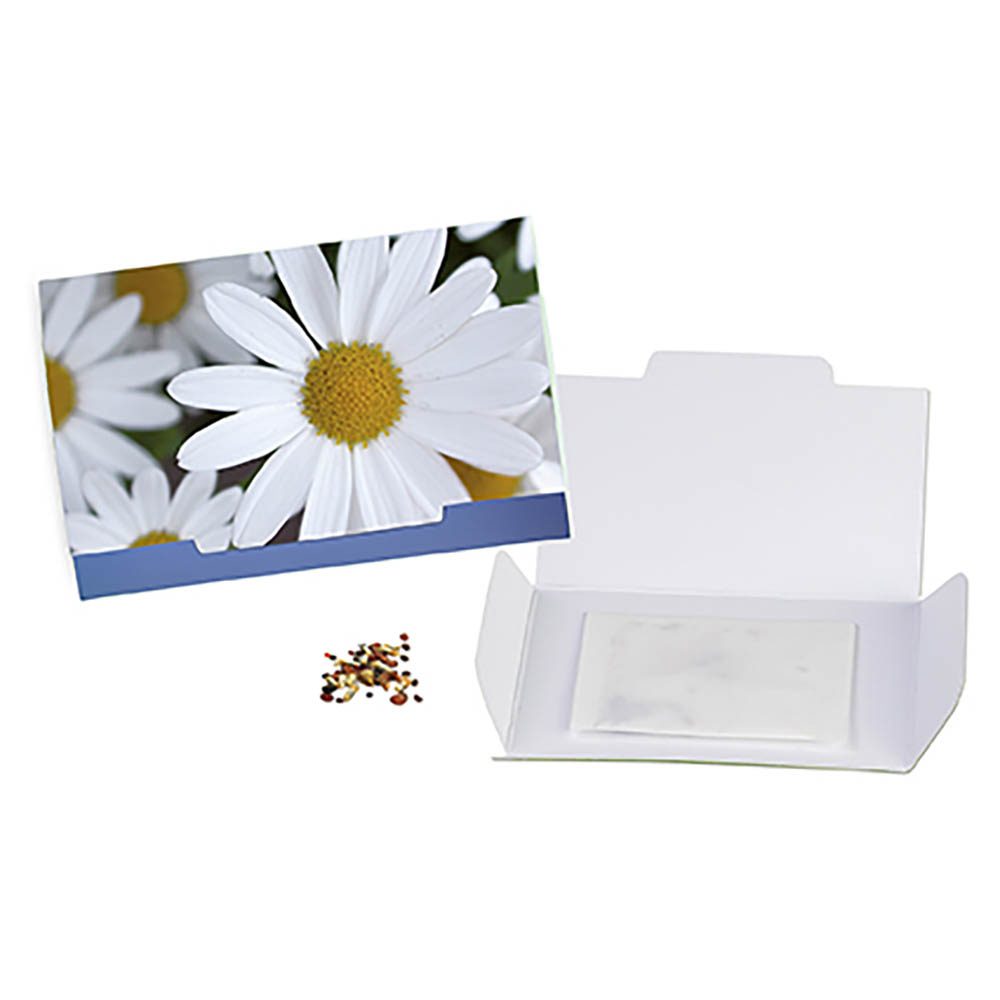 Flower-Card mit Samen, Margerite