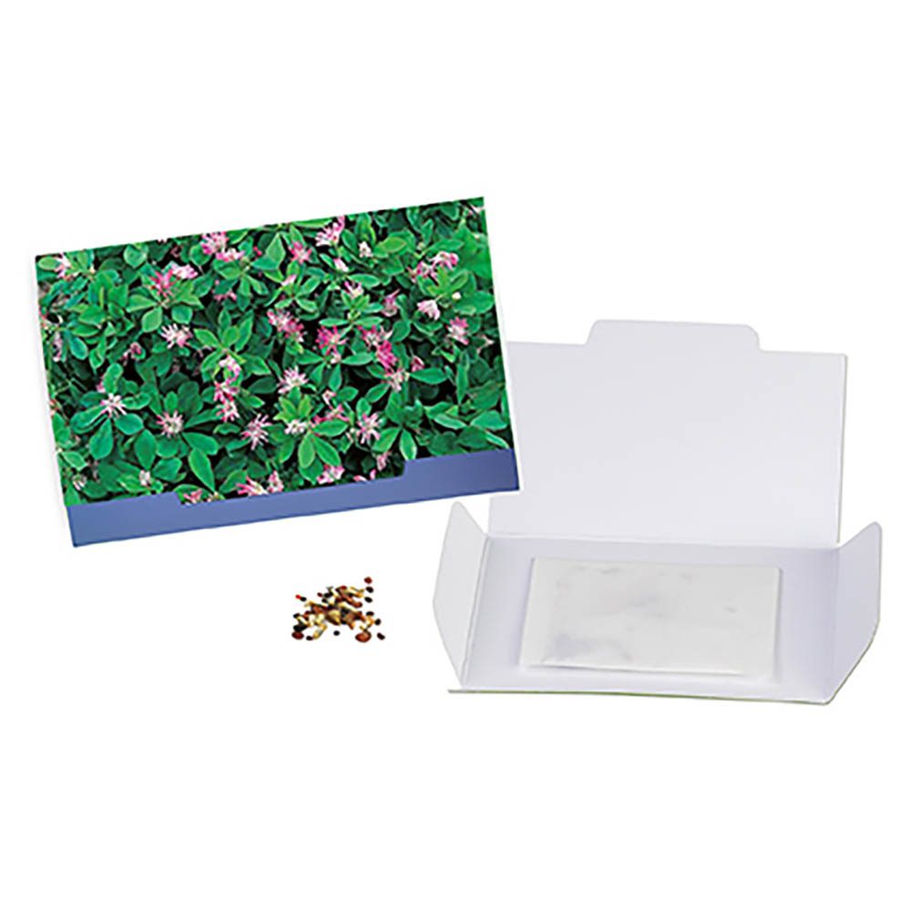 Flower-Card mit Samen, Persischer Klee