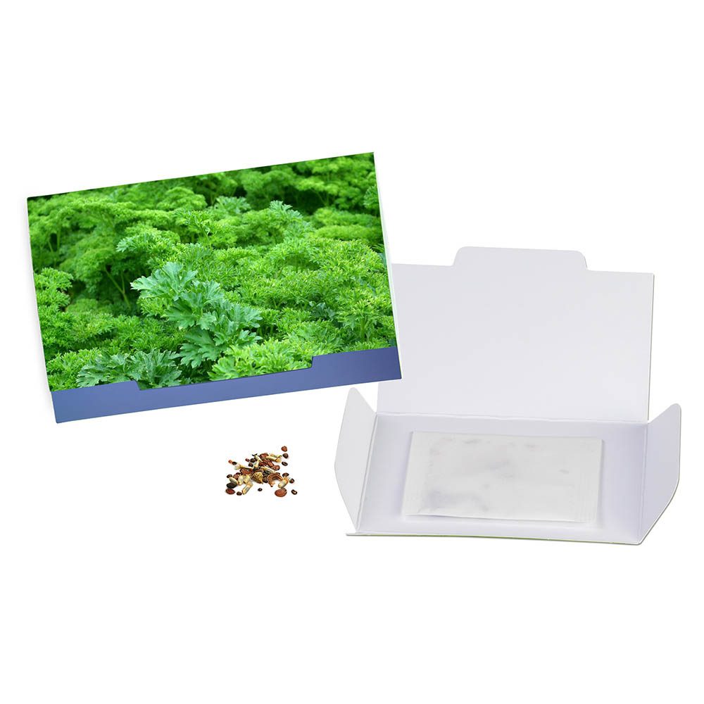 Flower-Card mit Samen, Petersilie