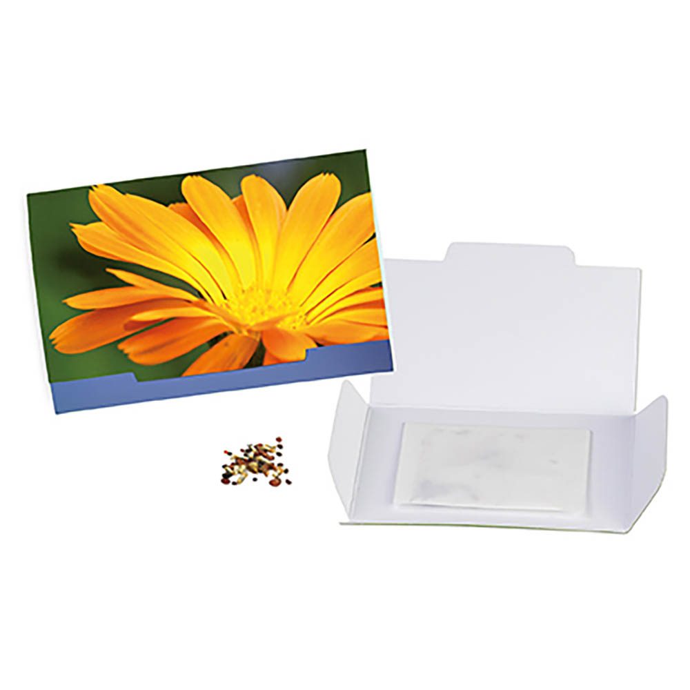 Flower-Card mit Samen, Ringelblume