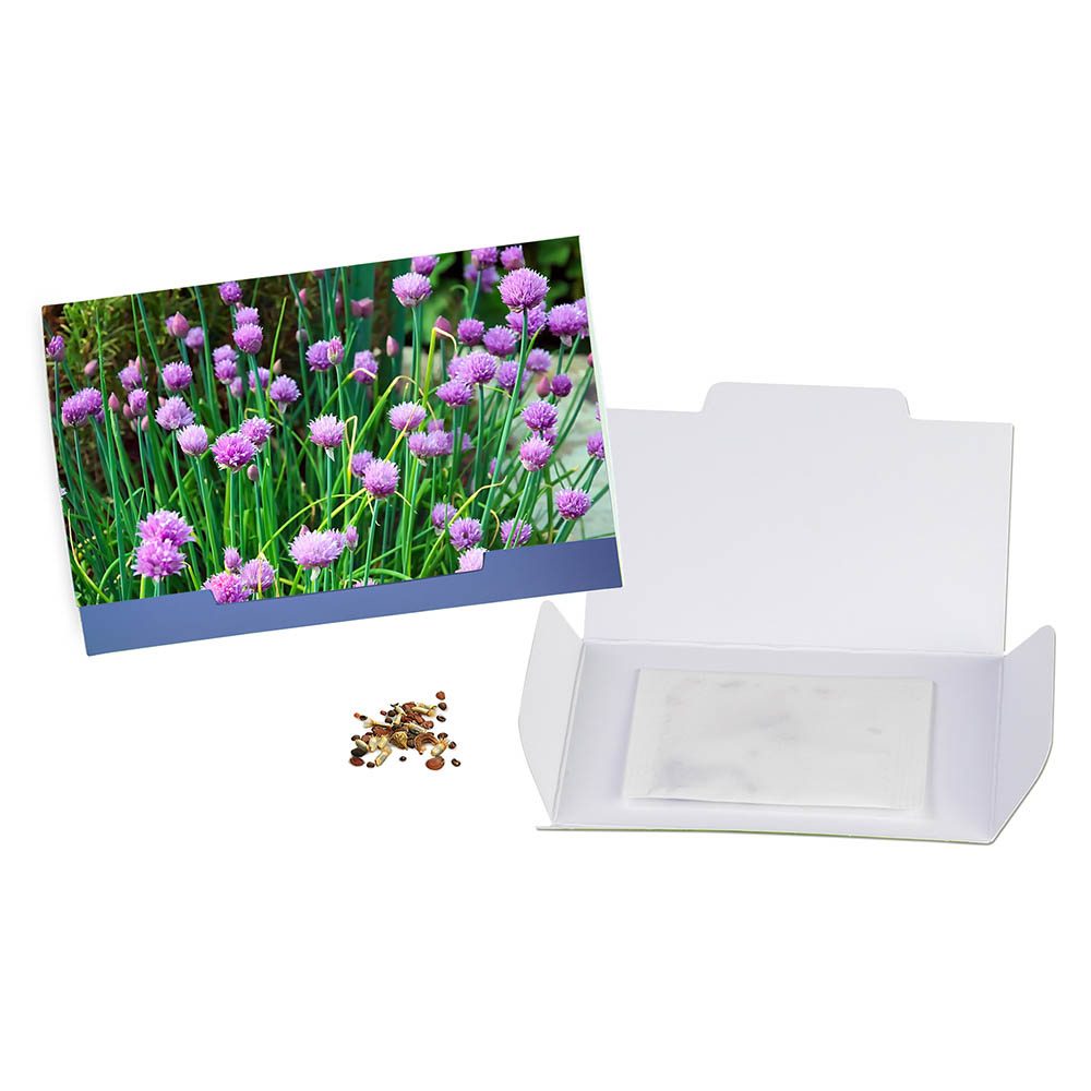 Flower-Card mit Samen, Schnittlauch
