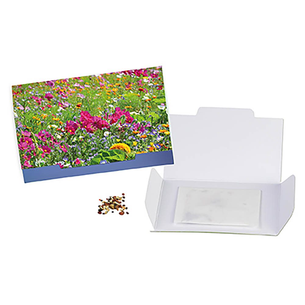 Flower-Card mit Samen, Sommerblumenmischung
