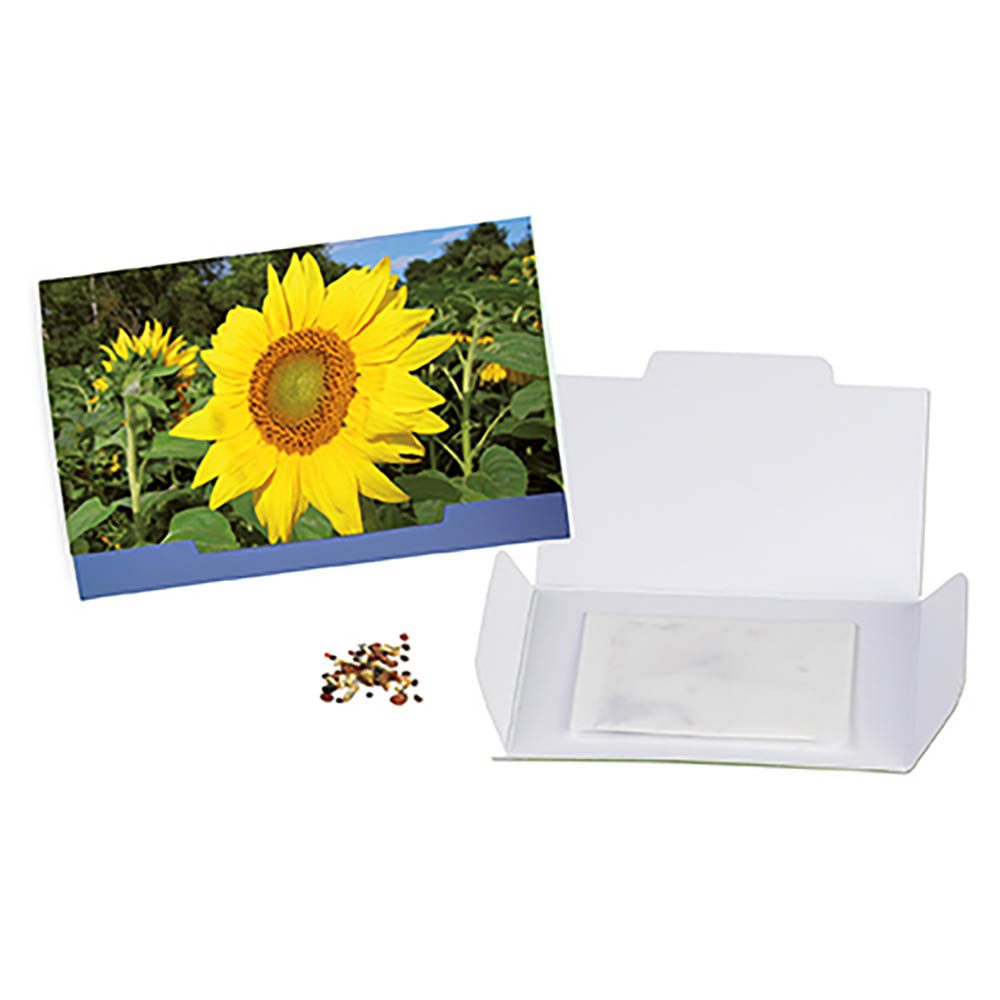 Flower-Card mit Samen, Sonnenblume