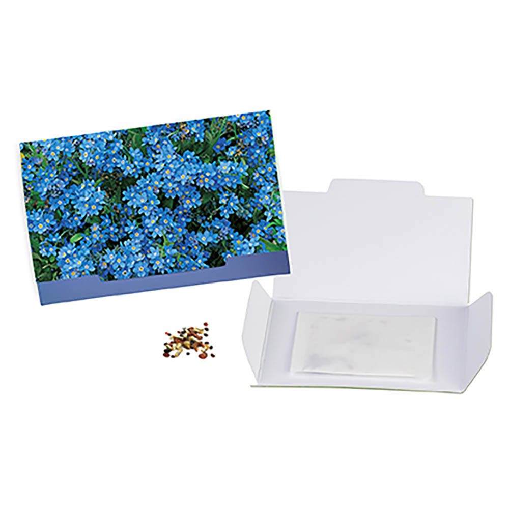 Flower-Card mit Samen, Vergissmeinnicht