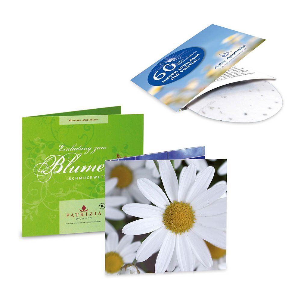 Green-Card mit Samen, Margerite, 4/0-c