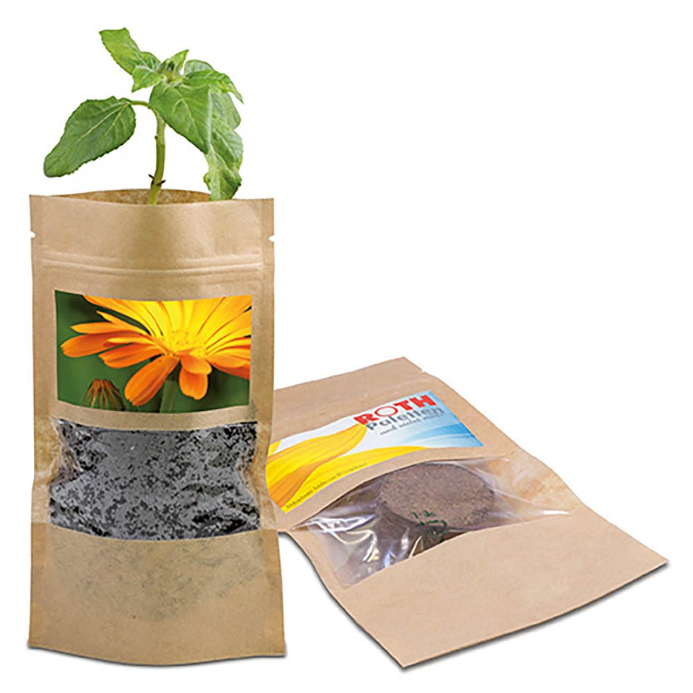 Grünes aus der Tüte mit Samen, Ringelblume