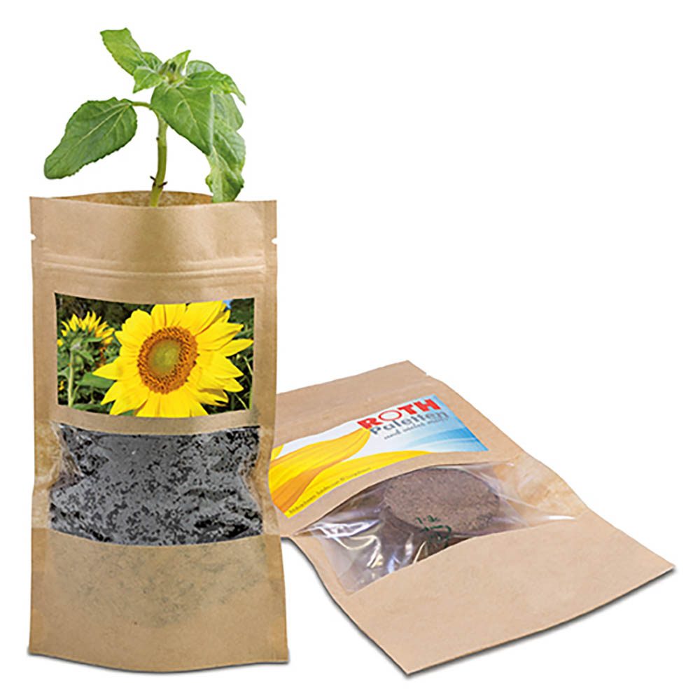 Grünes aus der Tüte mit Samen, Sonnenblume