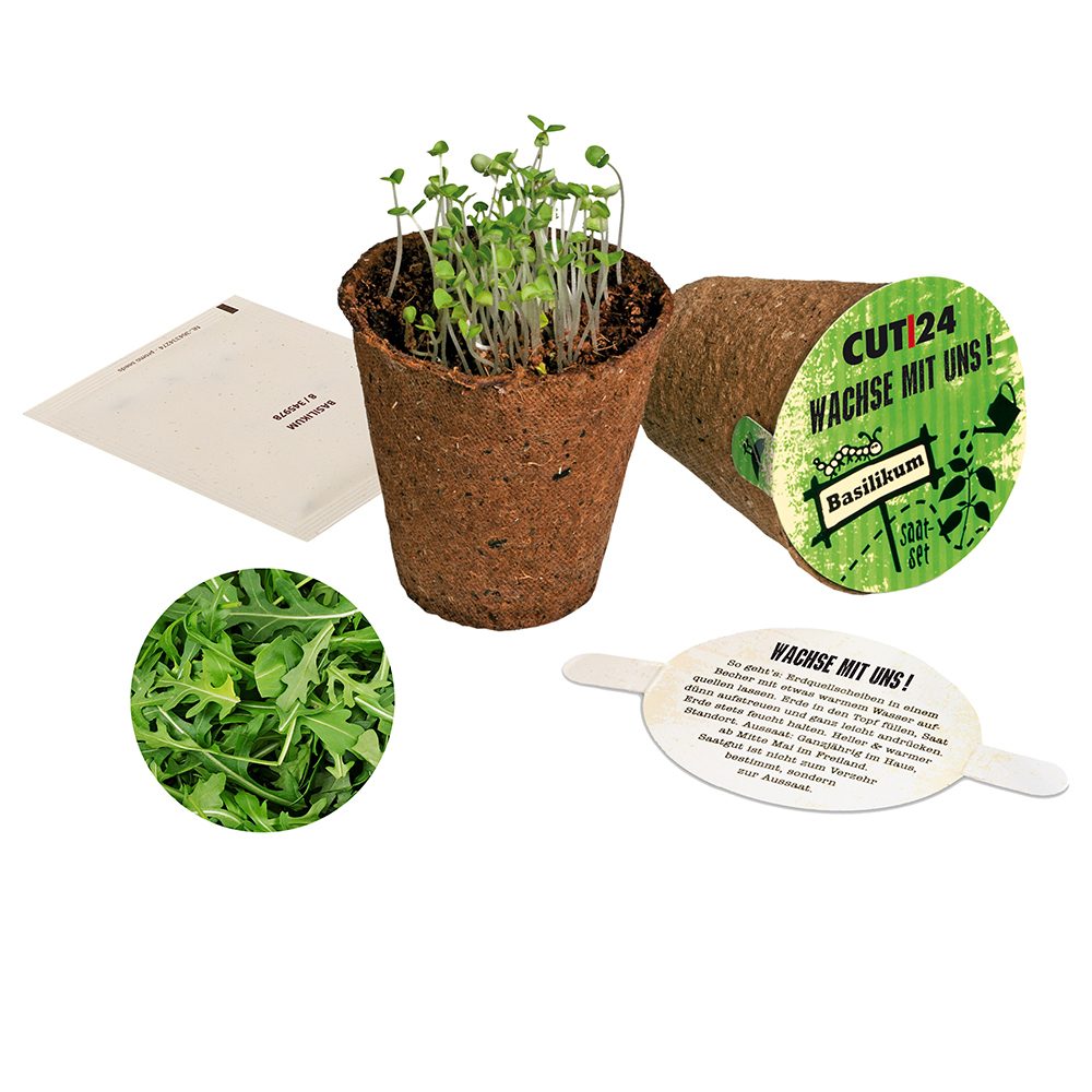 Kräutertöpfchen Samenset, Rucola