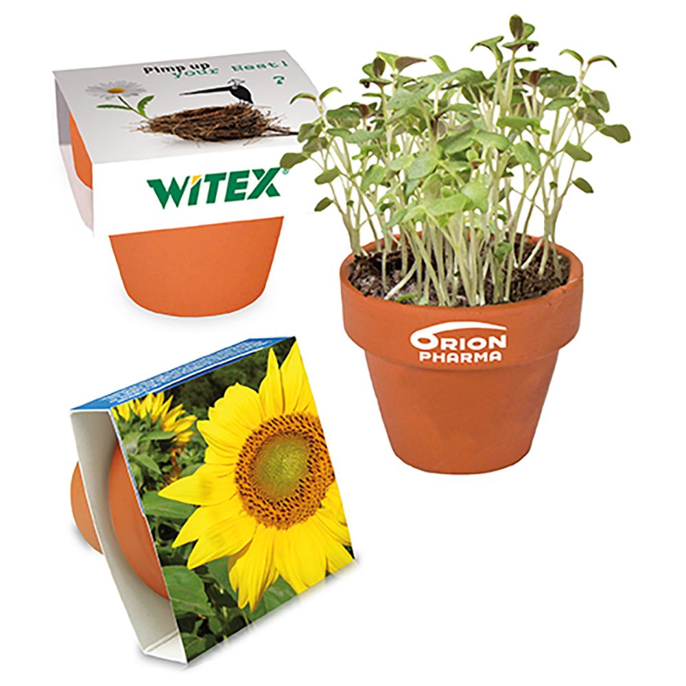 Logo-Töpfchen Banderole mit Samen, Sonnenblume