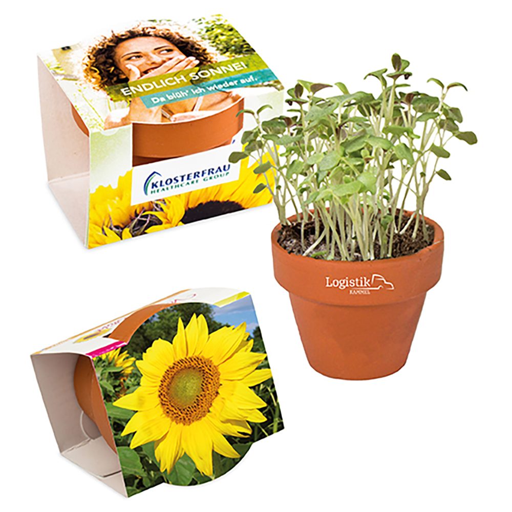 Logo-Töpfchen Komplettbanderole mit Samen, Sonnenblume