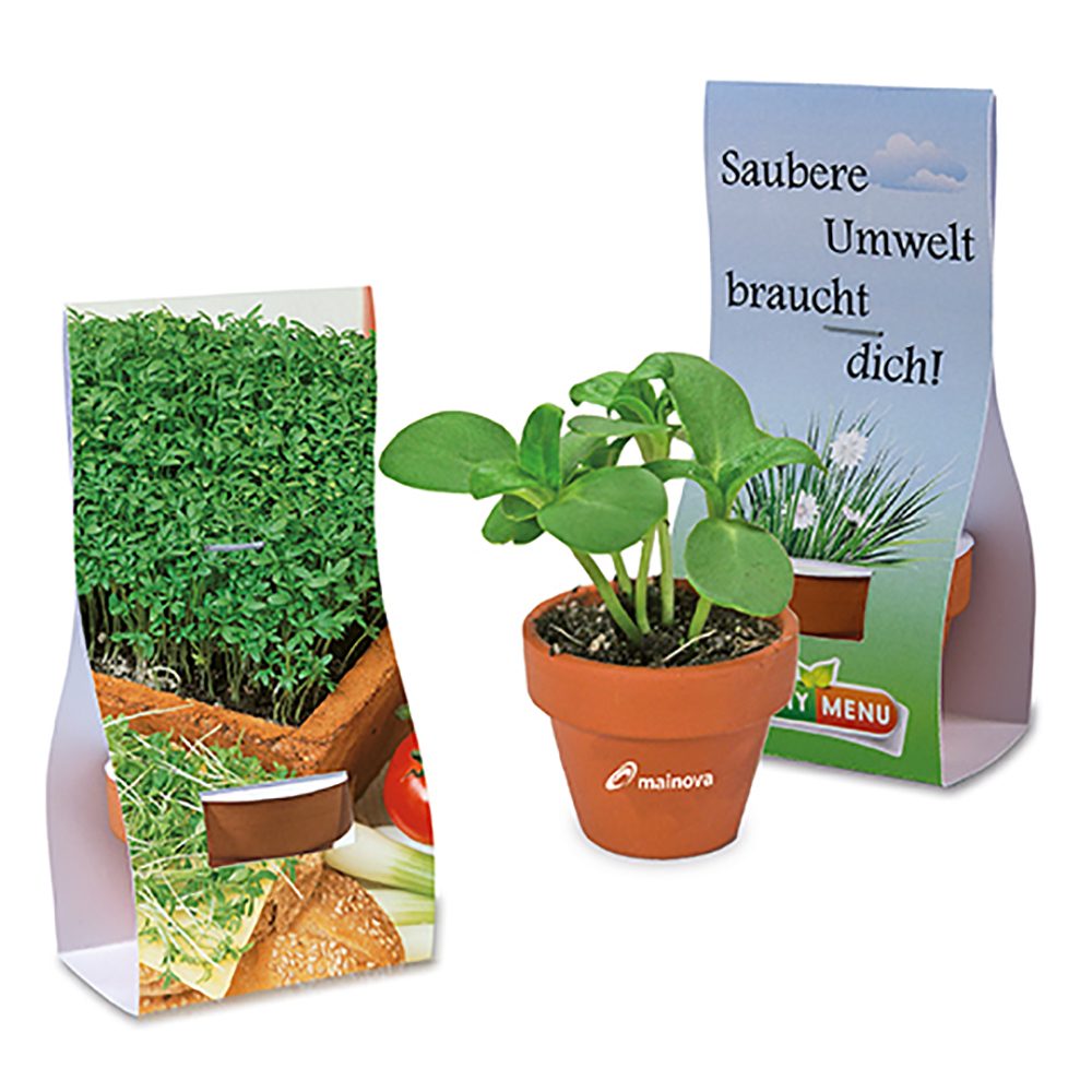Logo-Töpfchen Überreichverpackung mit Samen, Gartenkresse
