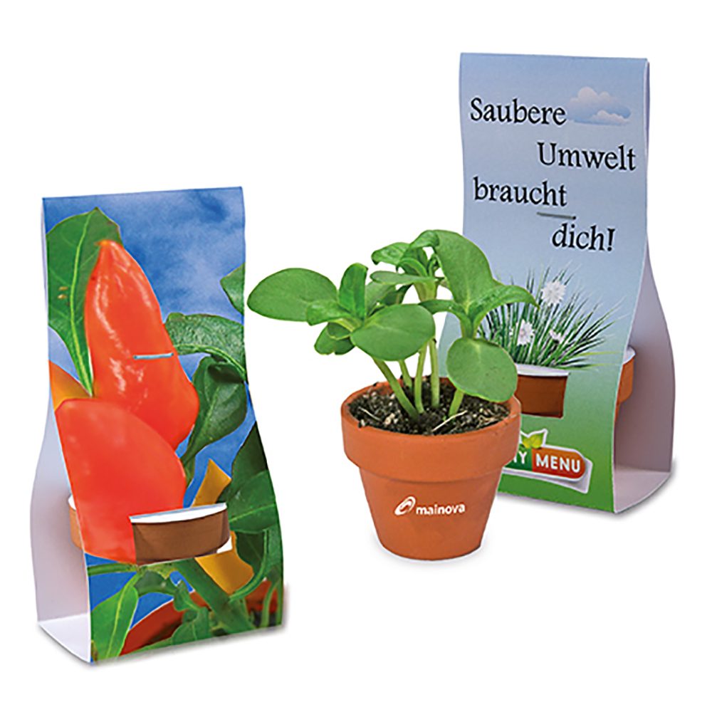 Logo-Töpfchen Überreichverpackung mit Samen, Gewürzpaprika