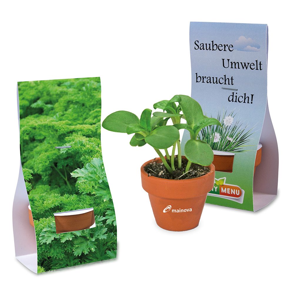 Logo-Töpfchen Überreichverpackung mit Samen, Petersilie
