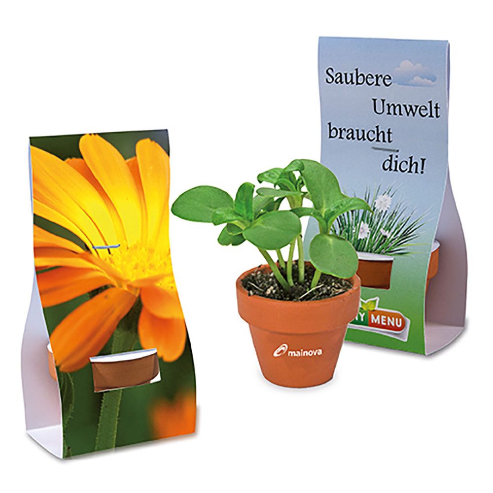Logo-Töpfchen Überreichverpackung mit Samen, Ringelblume