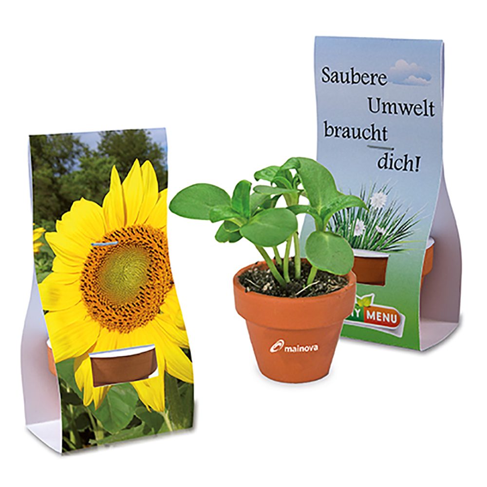 Logo-Töpfchen Überreichverpackung mit Samen, Sonnenblume