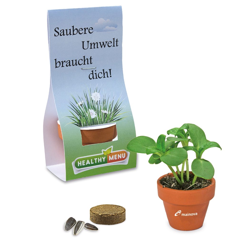 Logo-Töpfchen Überreichverpackung mit Samen, emotion factory