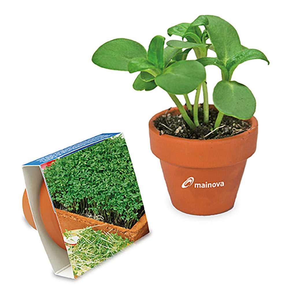 Logo-Topf mit Samen, teracotta - Gartenkresse